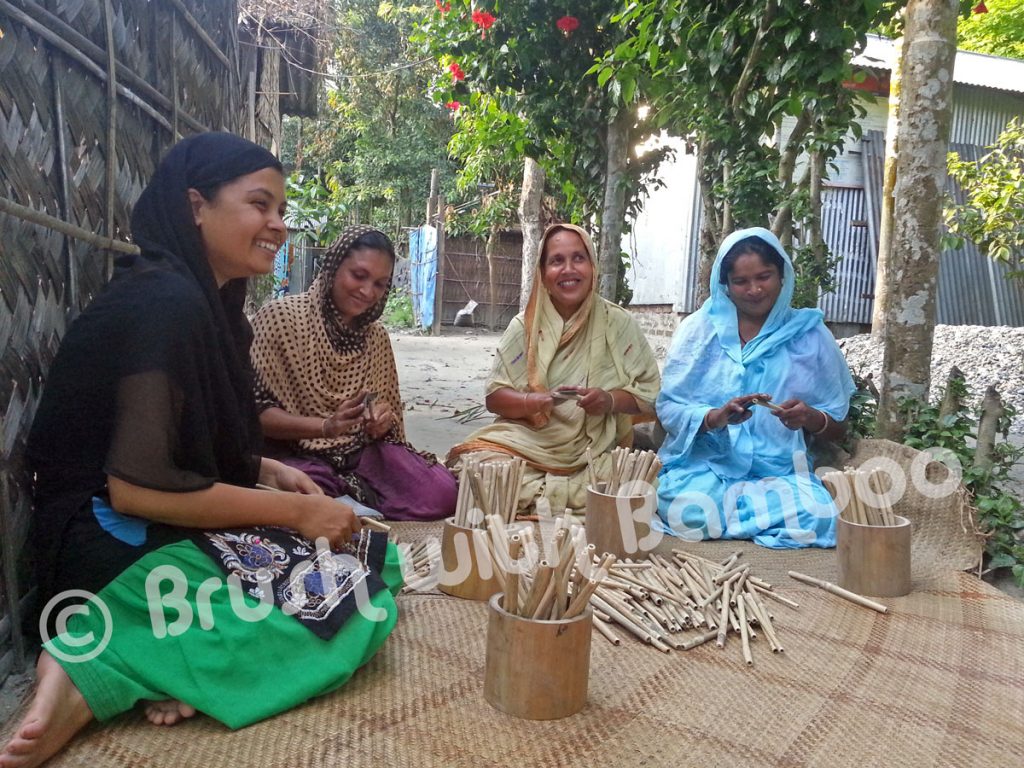 Bamboo Drinking Straws 12Pack Brush with Bamboo