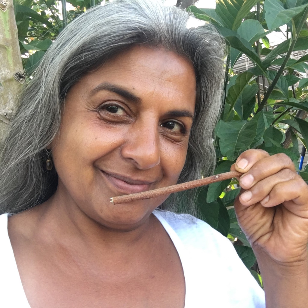 Neem Chew Sticks (USA Only) Brush with Bamboo